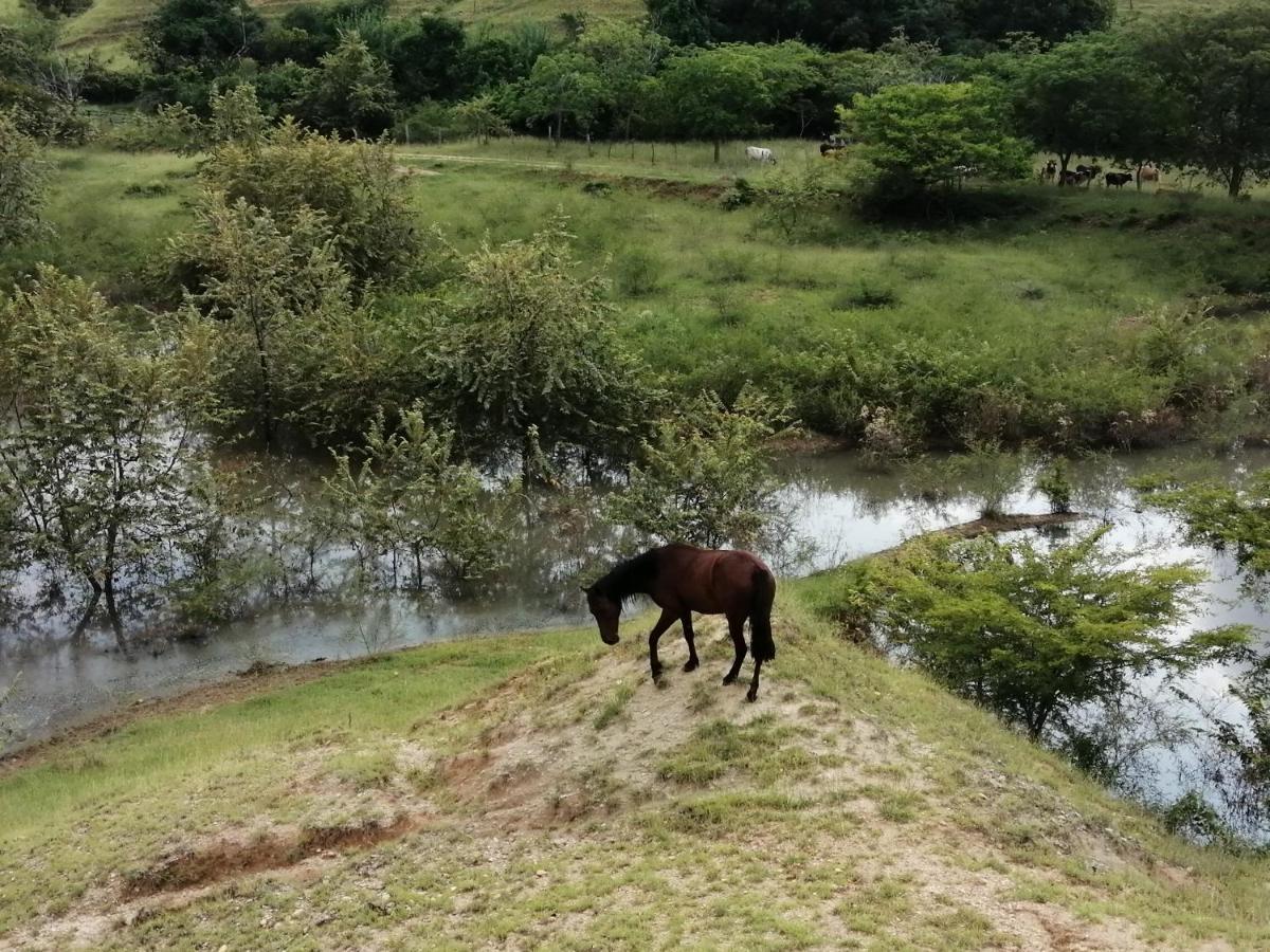 Finca Ecoturistica Los Jagueyes Baraya المظهر الخارجي الصورة