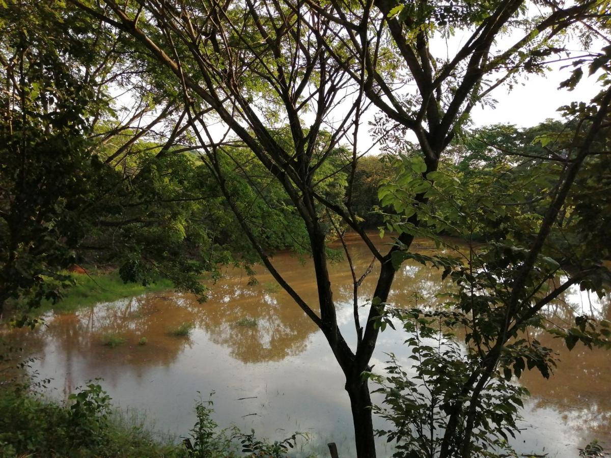 Finca Ecoturistica Los Jagueyes Baraya المظهر الخارجي الصورة