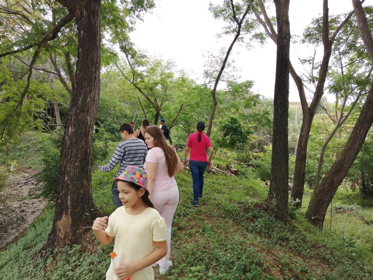 Finca Ecoturistica Los Jagueyes Baraya المظهر الخارجي الصورة