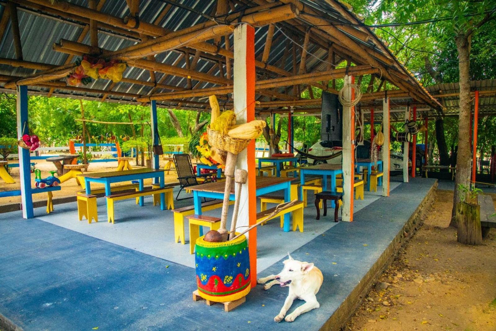 Finca Ecoturistica Los Jagueyes Baraya المظهر الخارجي الصورة