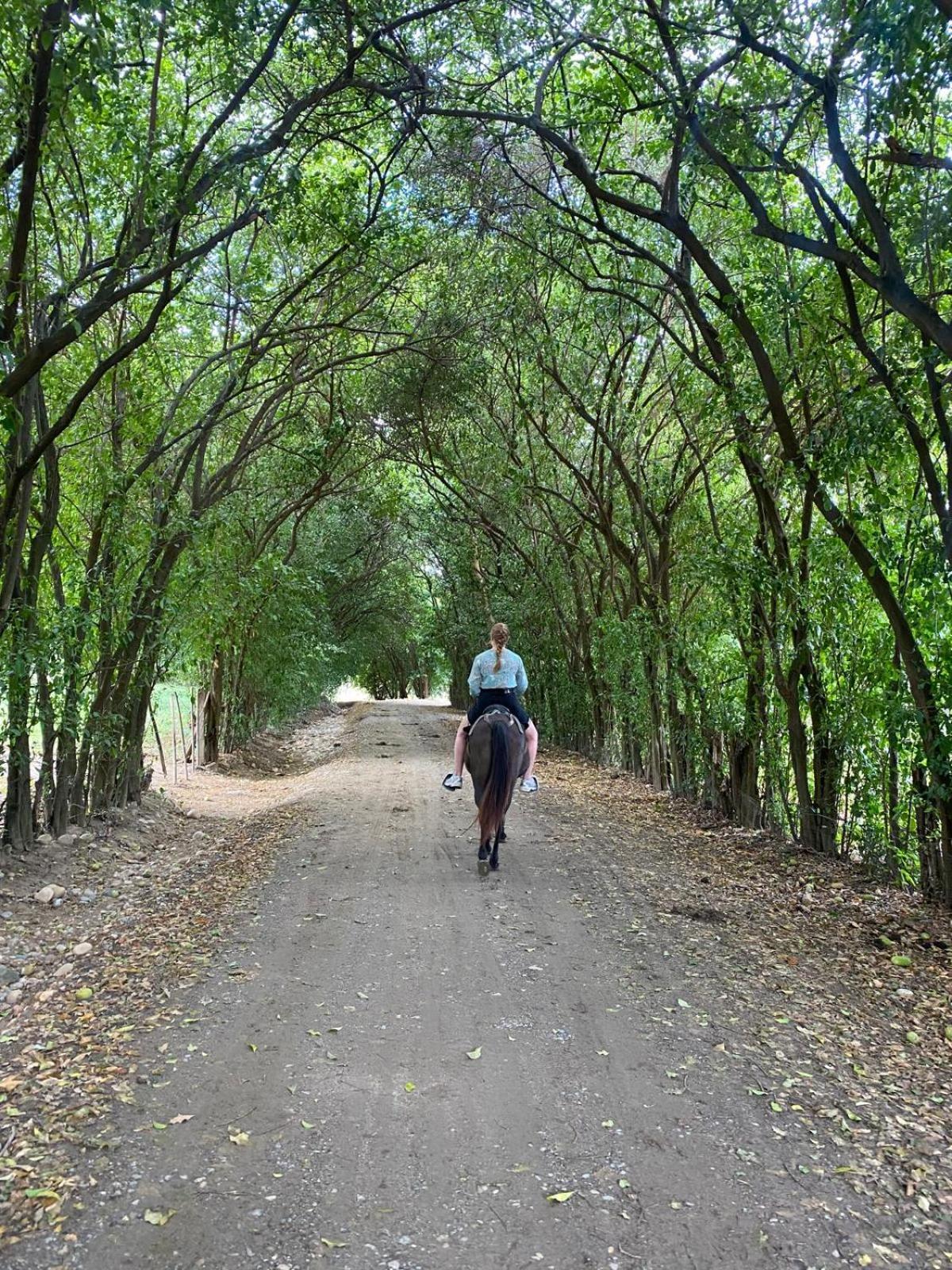 Finca Ecoturistica Los Jagueyes Baraya المظهر الخارجي الصورة